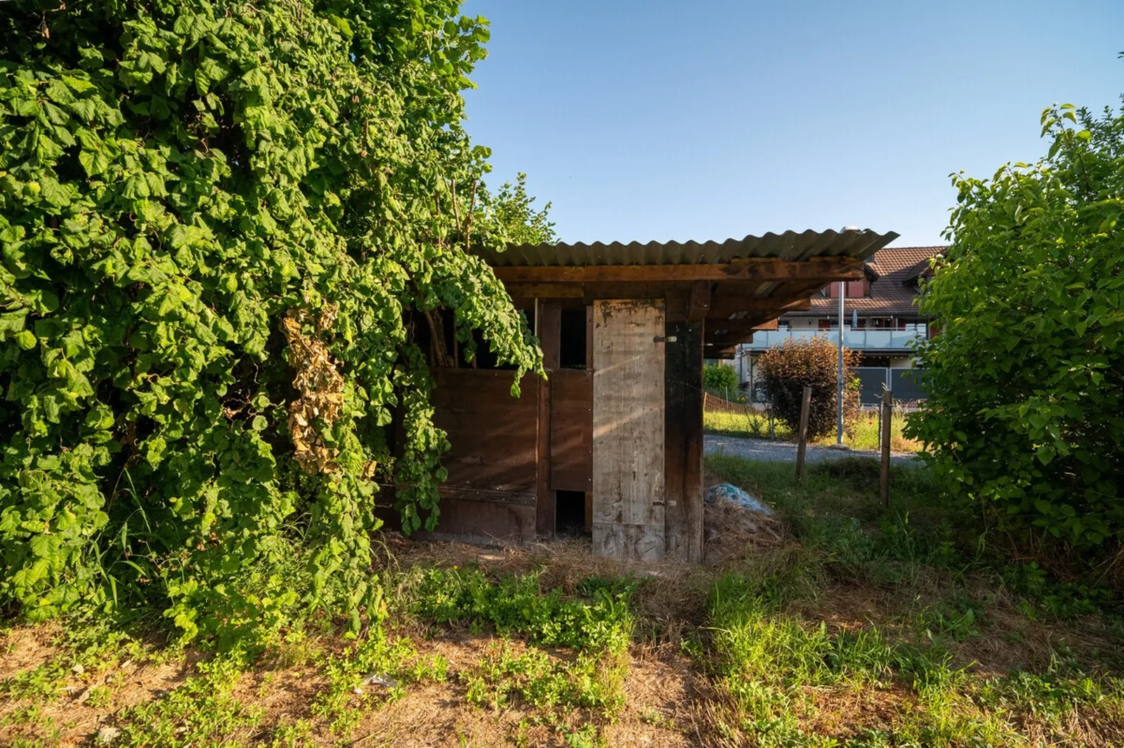 Liebhaberobjekt mit Potenzial: traditionelles Bauernhaus