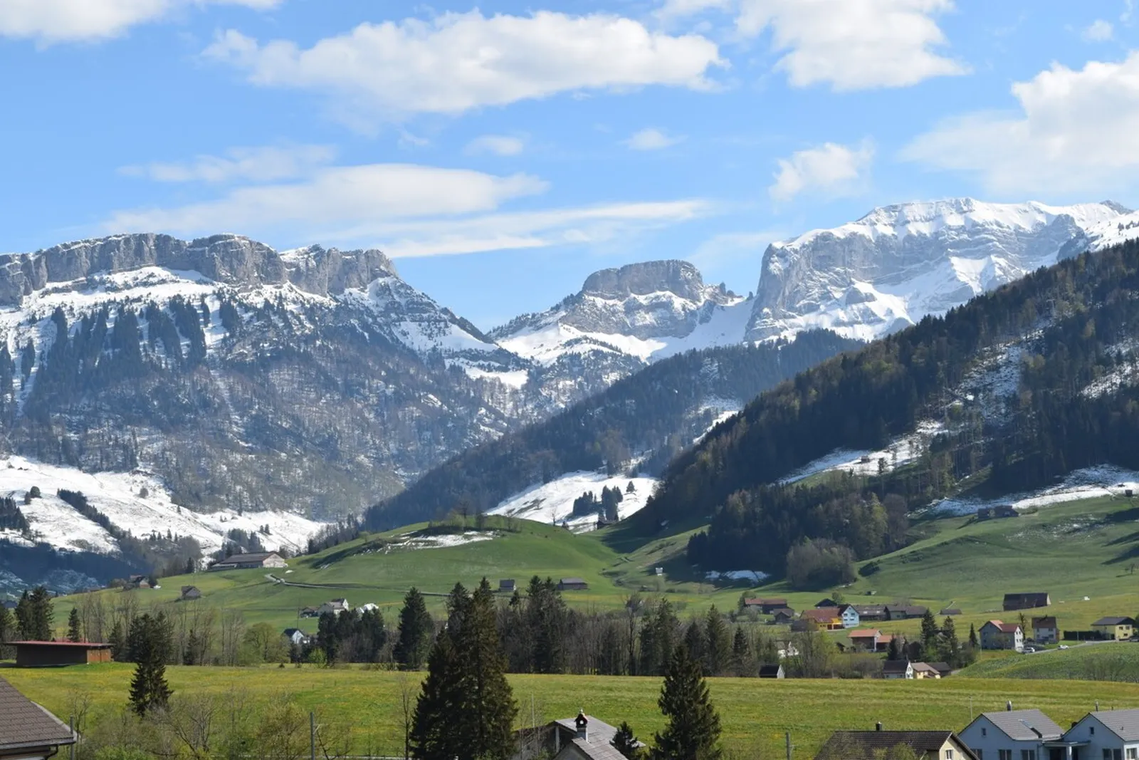 Ihre zukünftige Aussicht